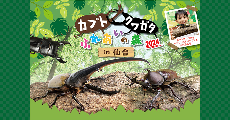 カブトクワガタふれあいの森 in 仙台 2024