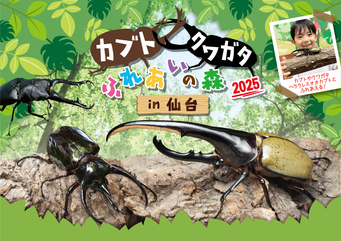カブトクワガタふれあいの森