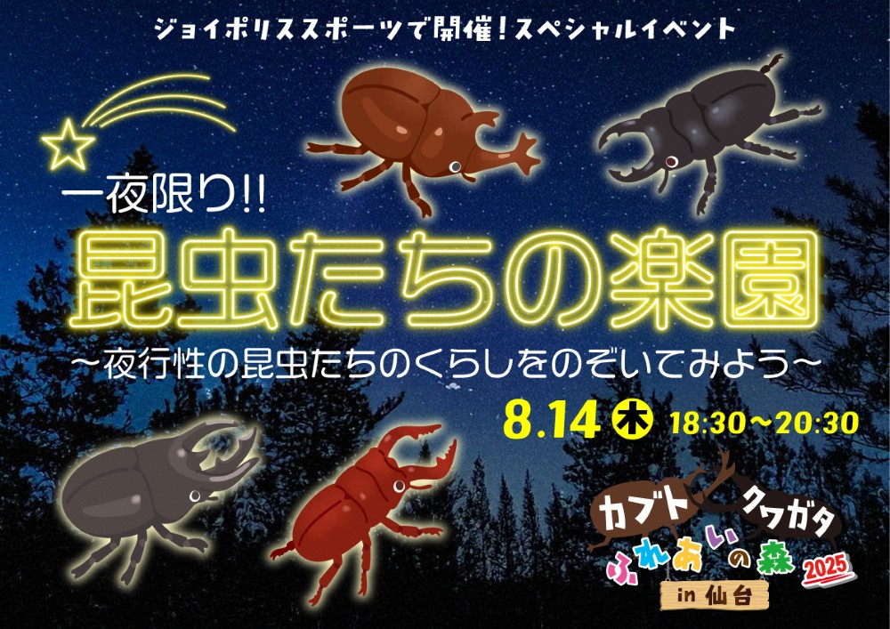 一夜限り!!昆虫たちの楽園