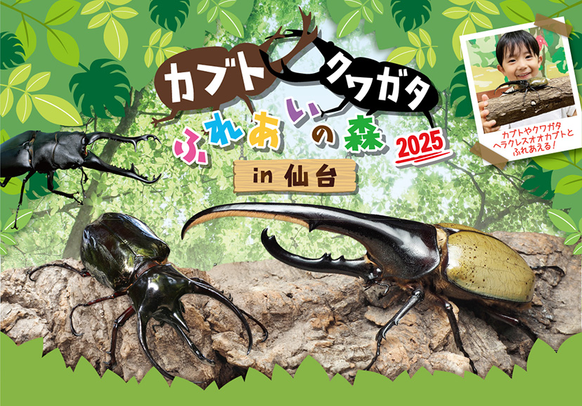 カブト・クワガタ ふれあいの森
