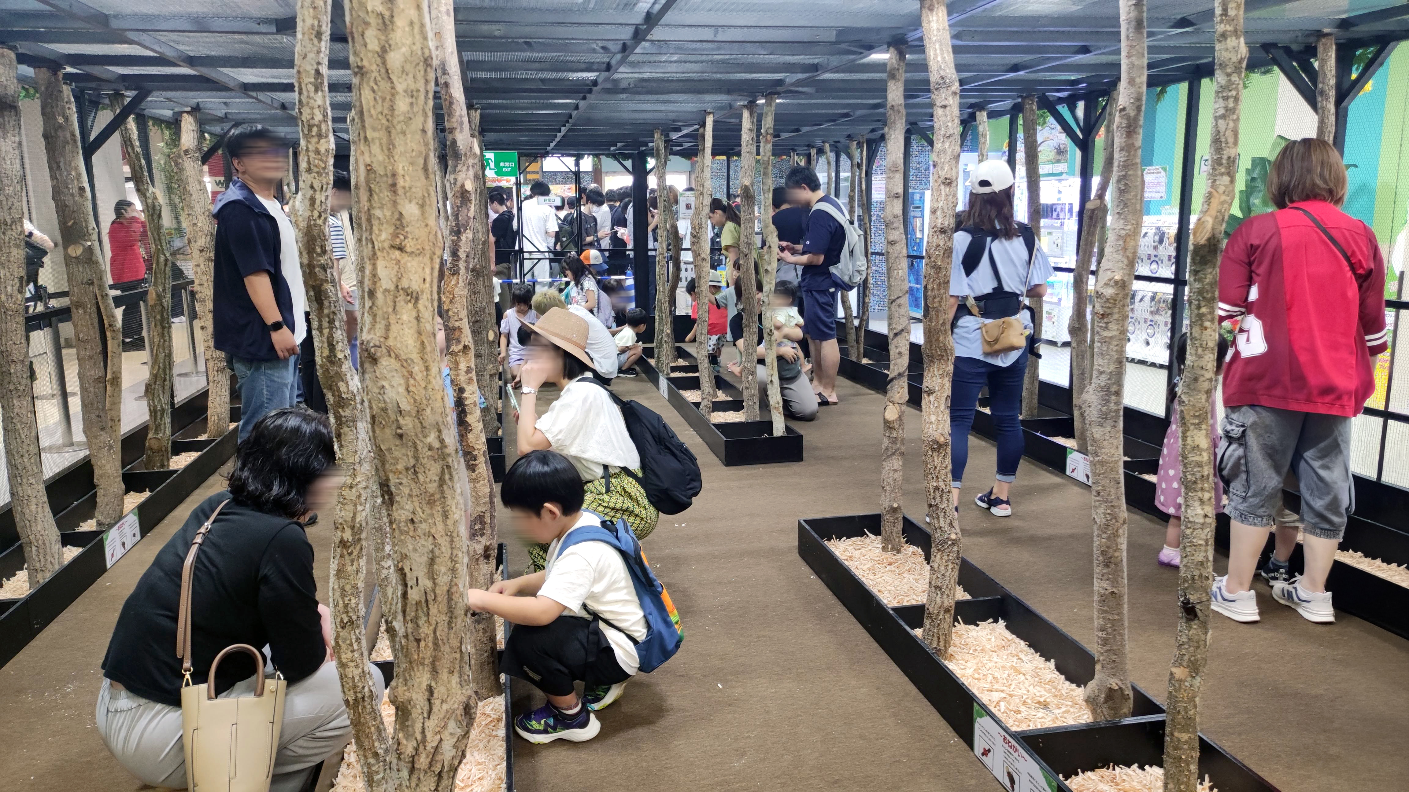 ふれあいの森イメージ写真