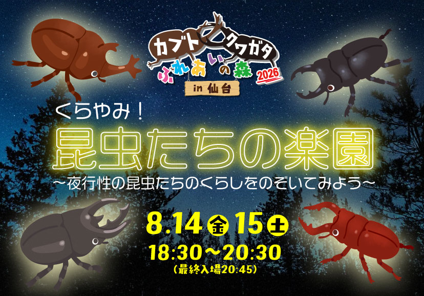 昆虫たちの楽園~夜行性の昆虫たちのくらしをのぞいてみよう~8月14日(金)・15日(土)18:30~20:30(最終入場:20:45)