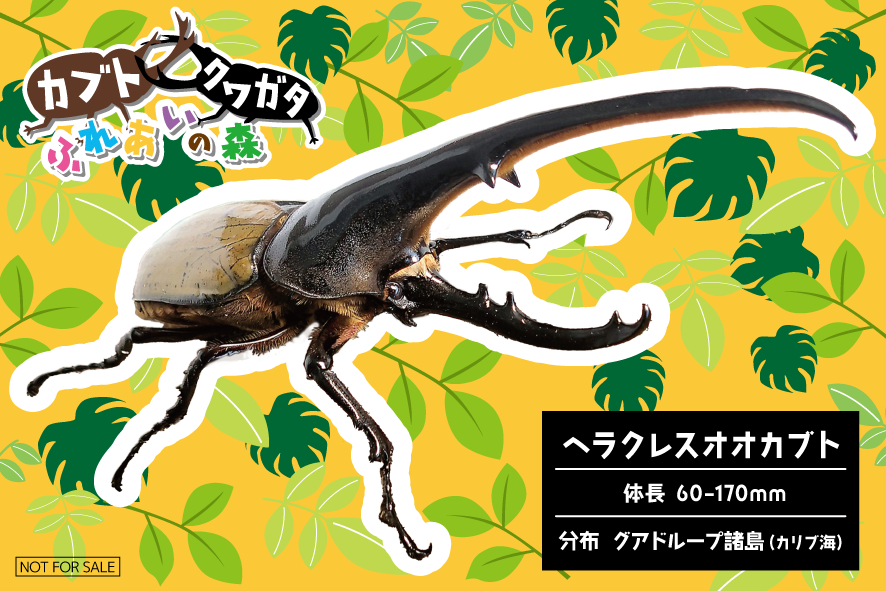 ヘラクレスオオカブトのステッカーイメージ