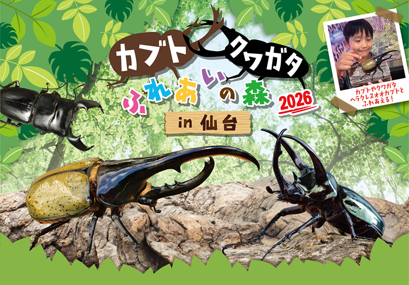カブトクワガタふれあいの森キービジュアル